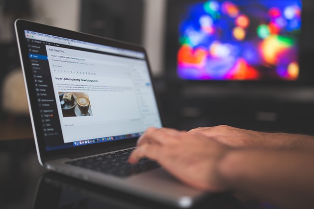 Aliaga Web Design Firms